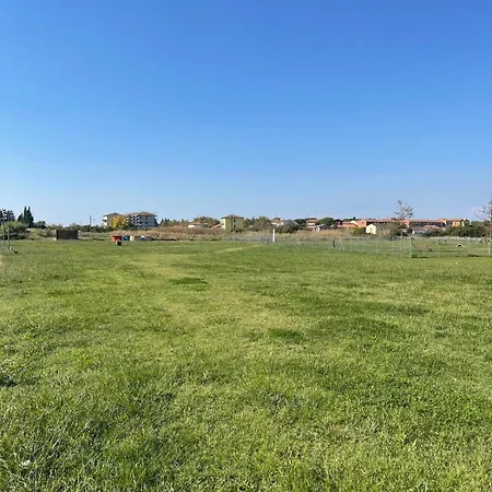 B33 A Natural Tilt For Beauty Apartment Pisa